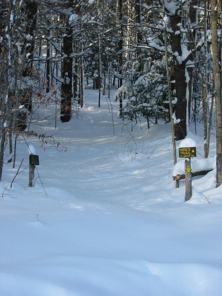 Snowy trail Snowy trail
