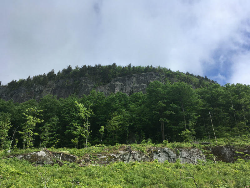 Bone Mountain cliff site Bone Mountain cliff site
