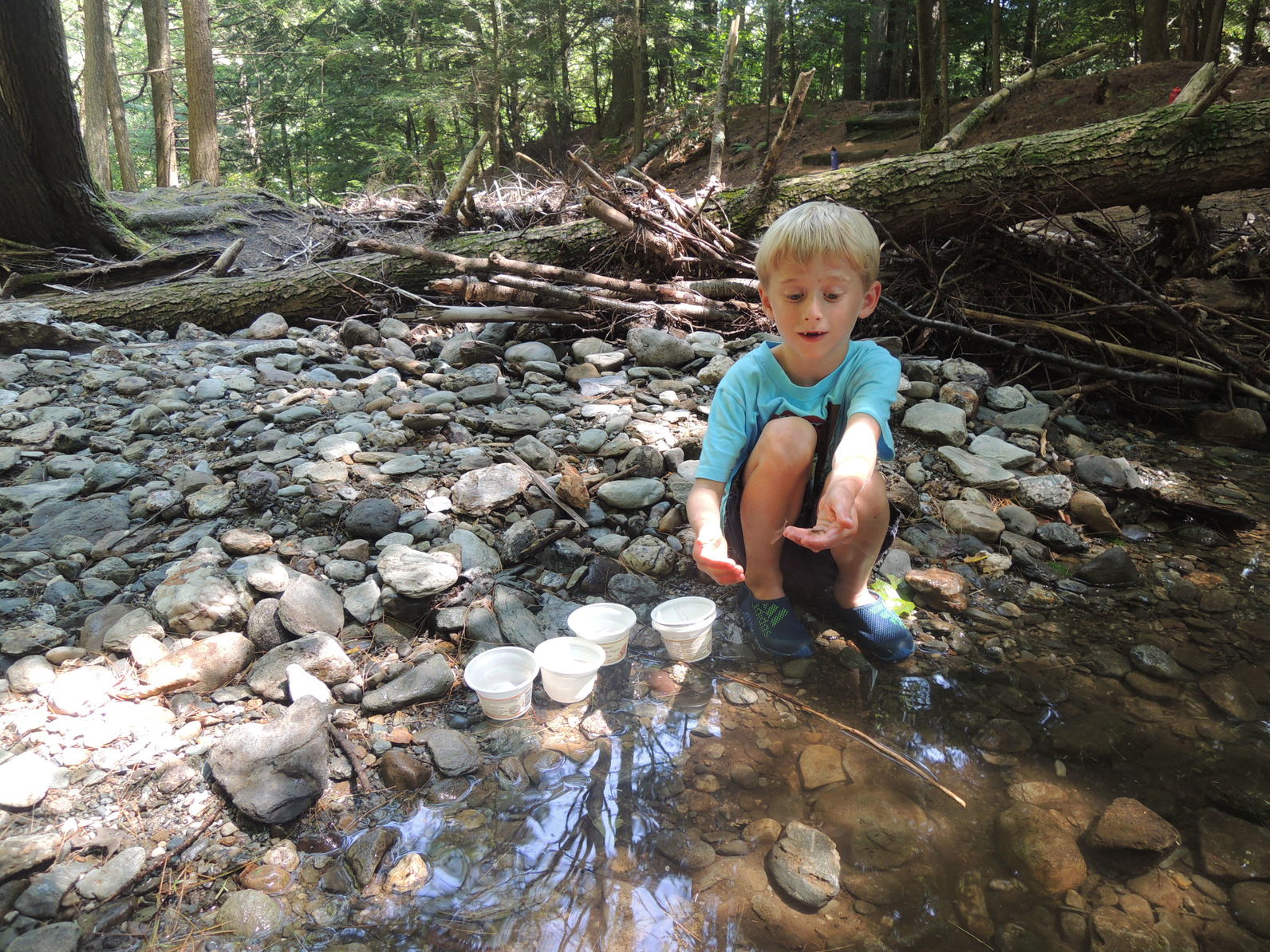 Brook wild within Brook wild within