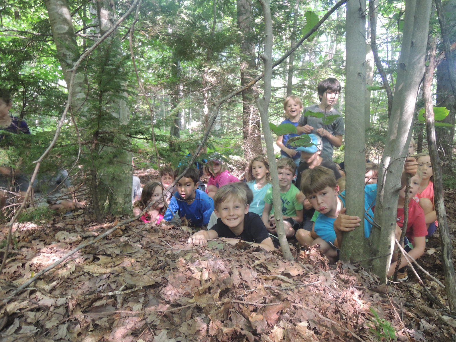 Woods Camp Woods Camp