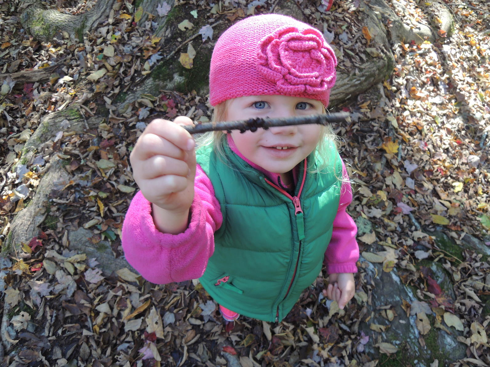 Fungi Finds Fungi Finds