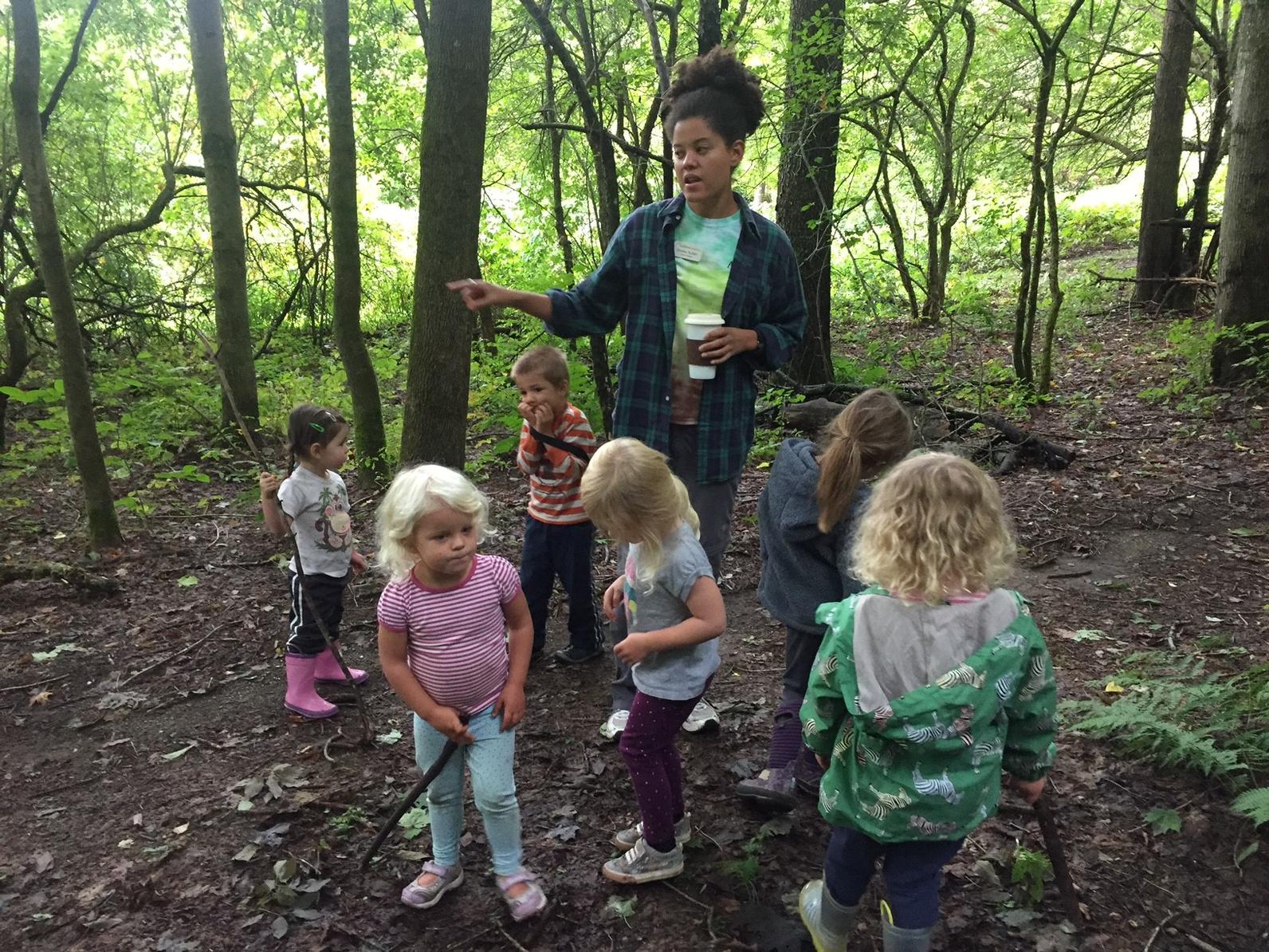 Forest Camp tour Forest Camp tour