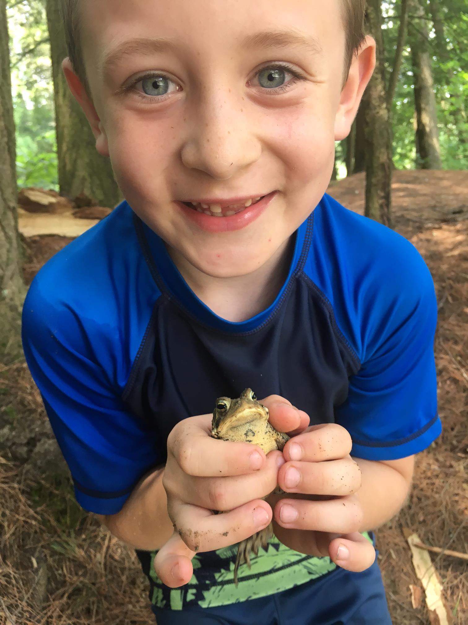 Frog at camp Frog at camp