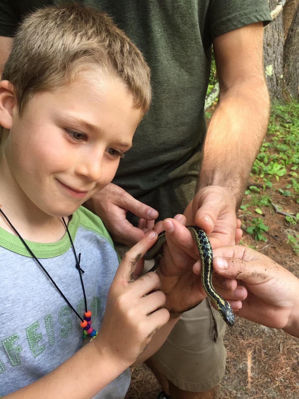 Second Camp Snake Second Camp Snake