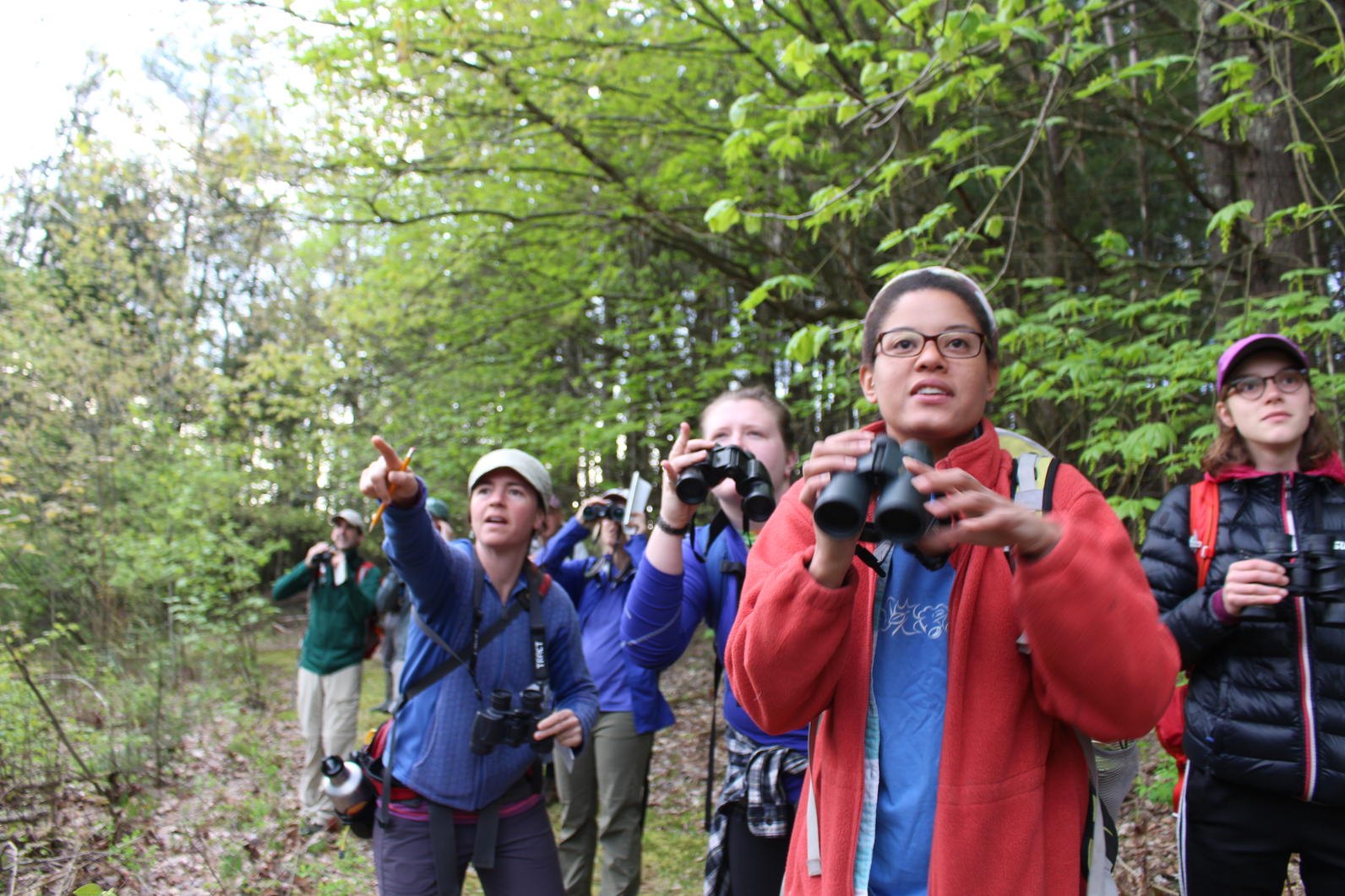 Birdathon Audubon Vermont Birdathon Audubon Vermont