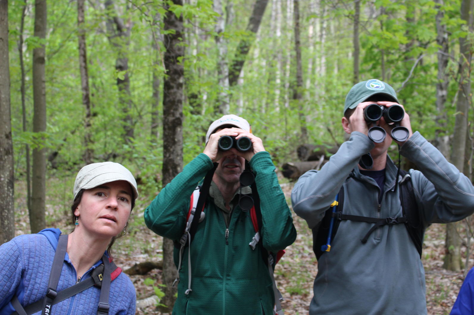 Birdathon Audubon Vermont Birdathon Audubon Vermont
