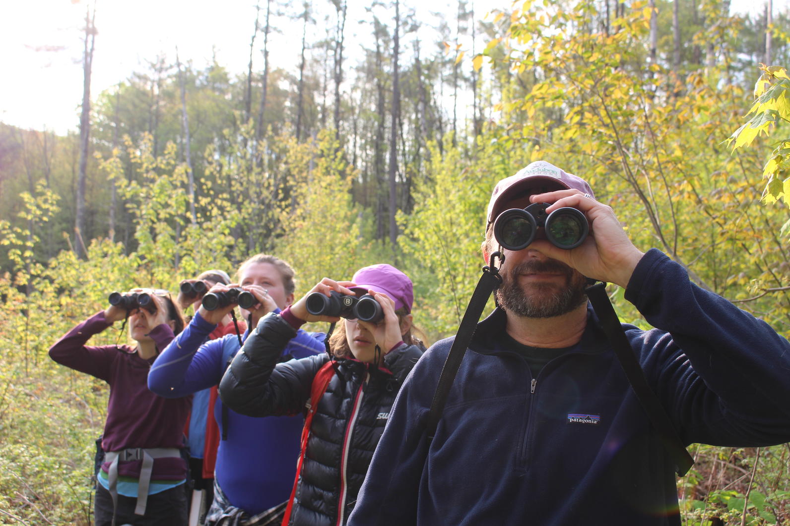 Birdathon Audubon Vermont Birdathon Audubon Vermont
