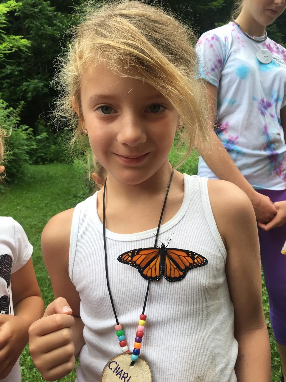Monarch at Camp Monarch at Camp