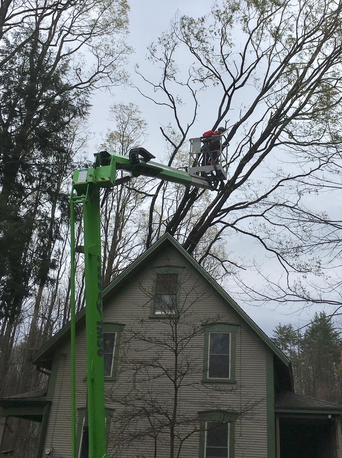 Wind Storm Recovery_Audubon Vermont Wind Storm Recovery_Audubon Vermont