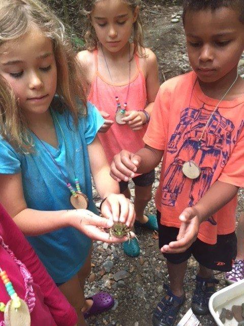 Found a frog at camp Found a frog at camp