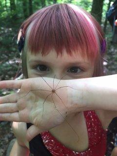 Spider Pre-K Camp Spider Pre-K Camp