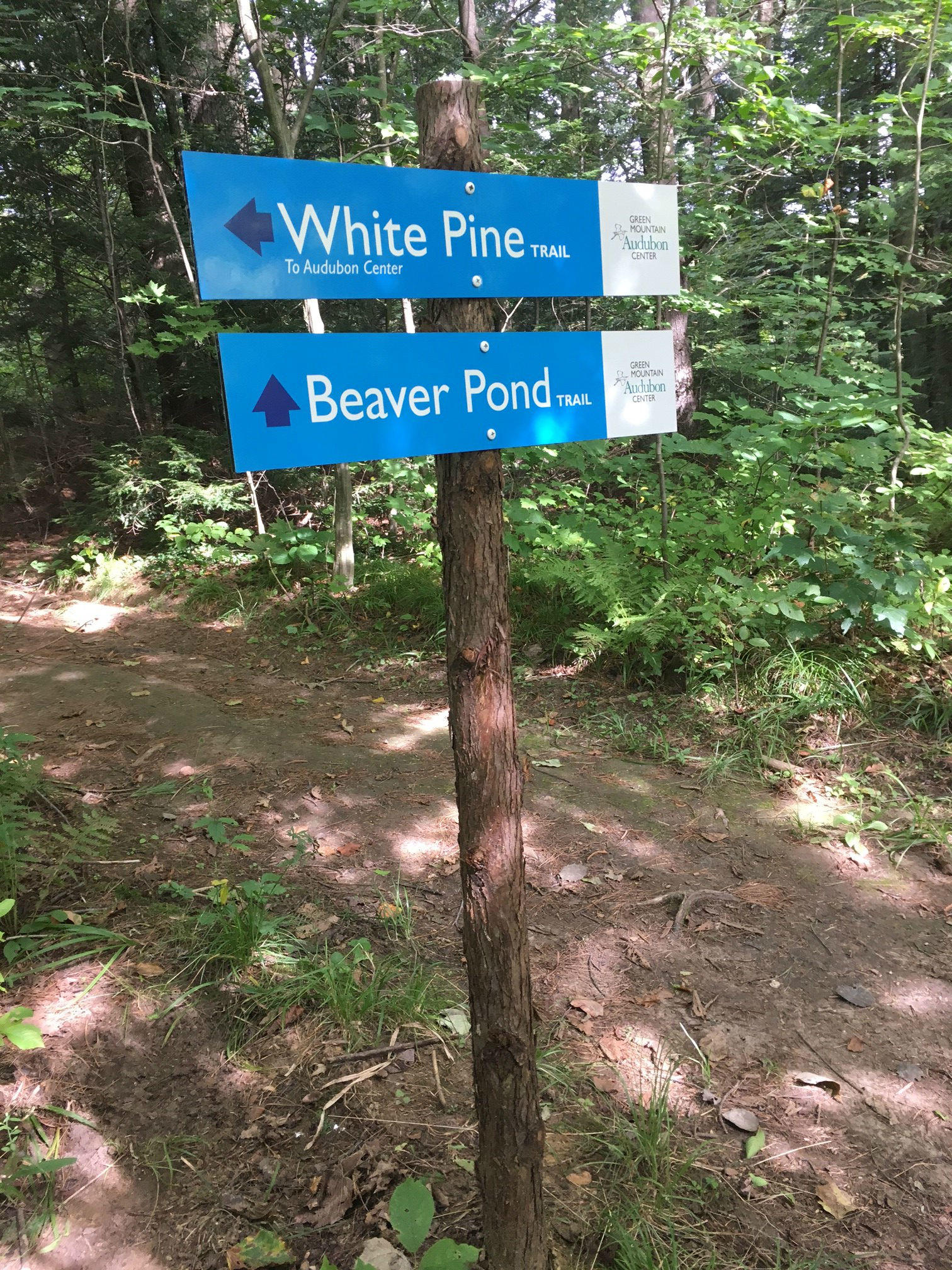 GMAC Wayfinding Sign