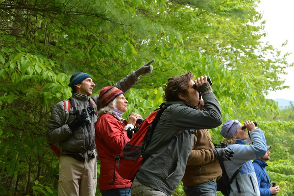 Birding Resources Audubon Vermont