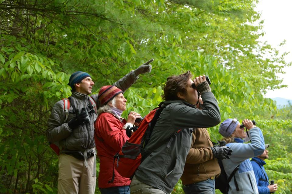 Birding Resources | Audubon Vermont