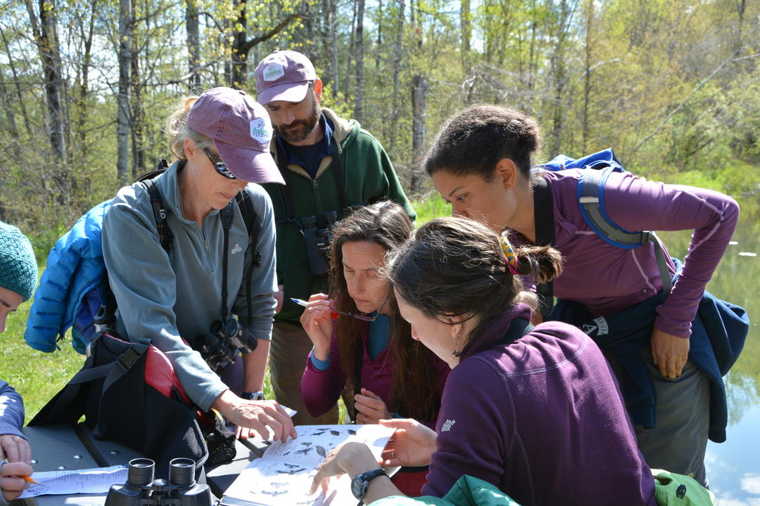Job Opportunities Audubon Vermont