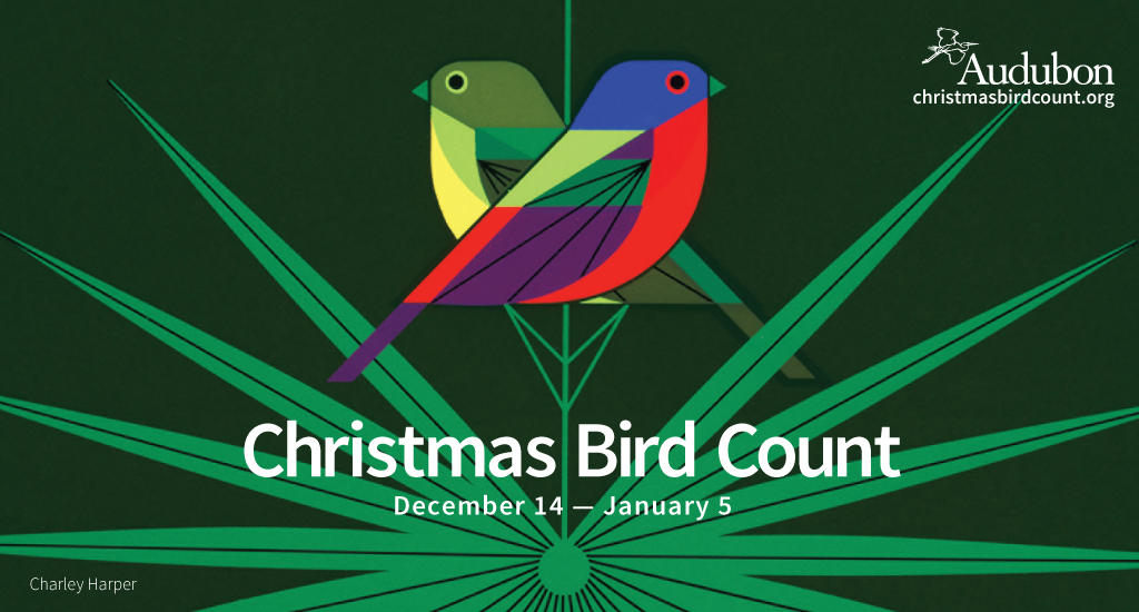 Escondido Christmas Bird Count Saturday, January 5, 2019 Palomar