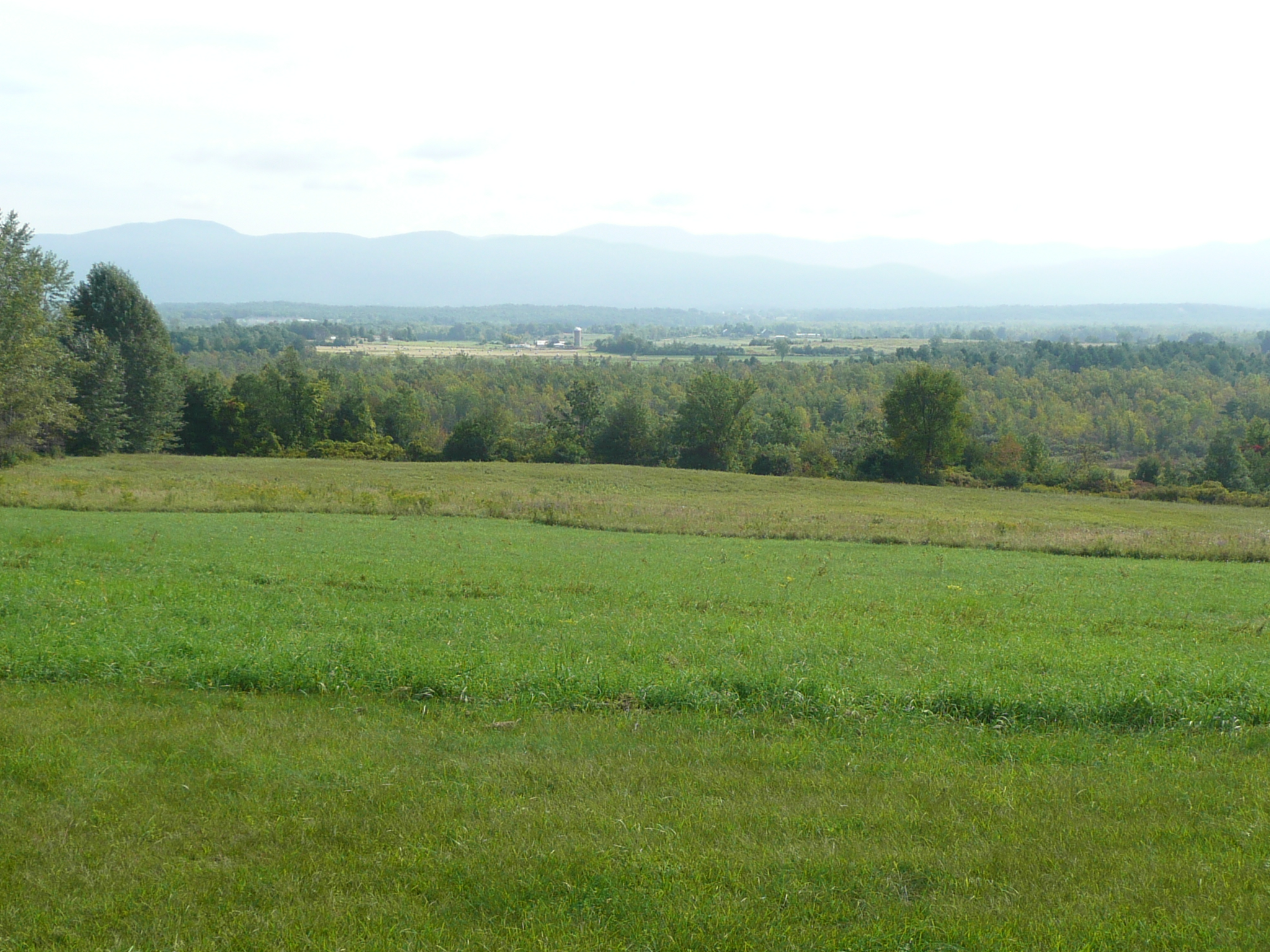 Bobolink Habitat