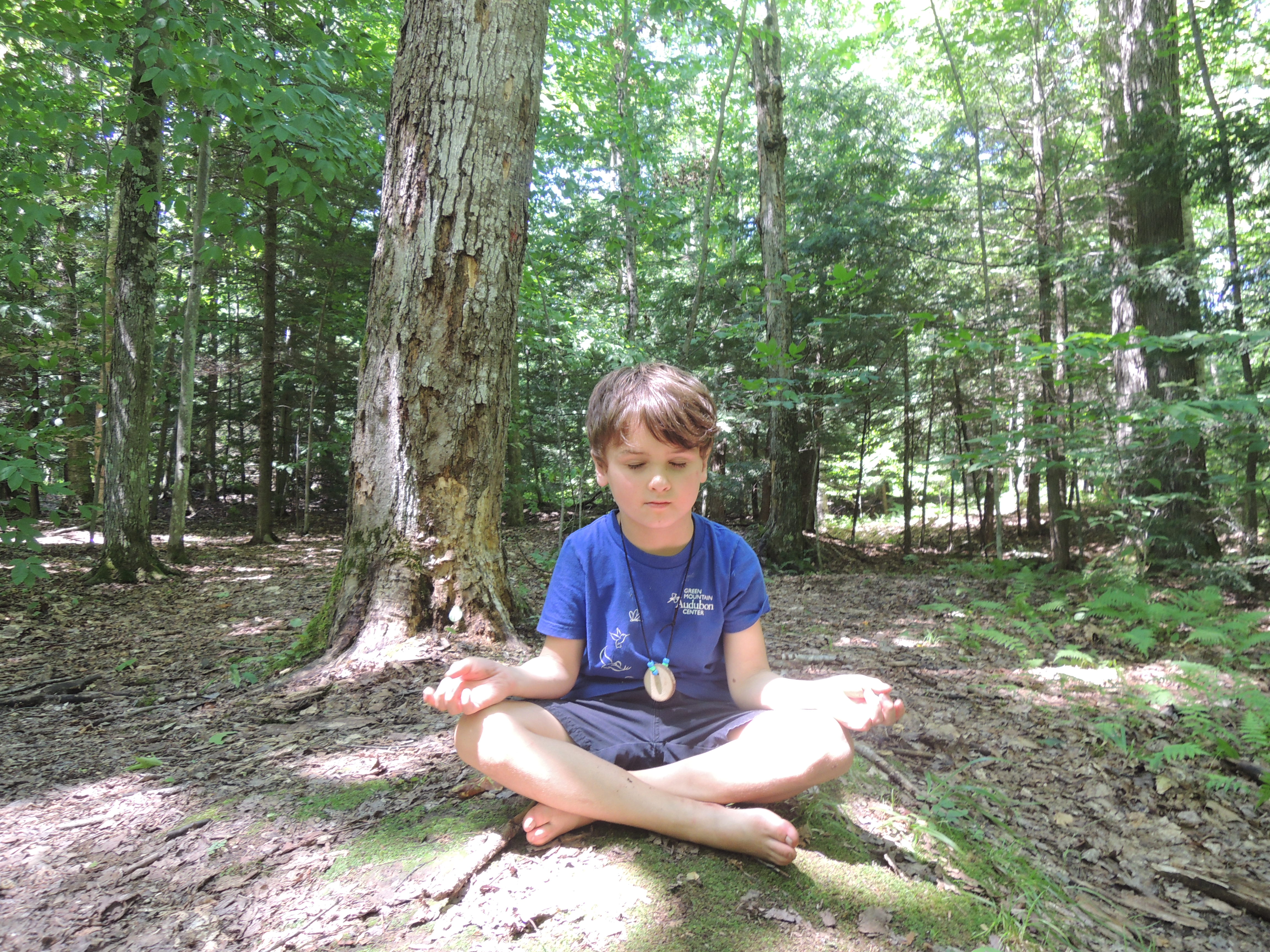 Relaxing Yoga at Camp