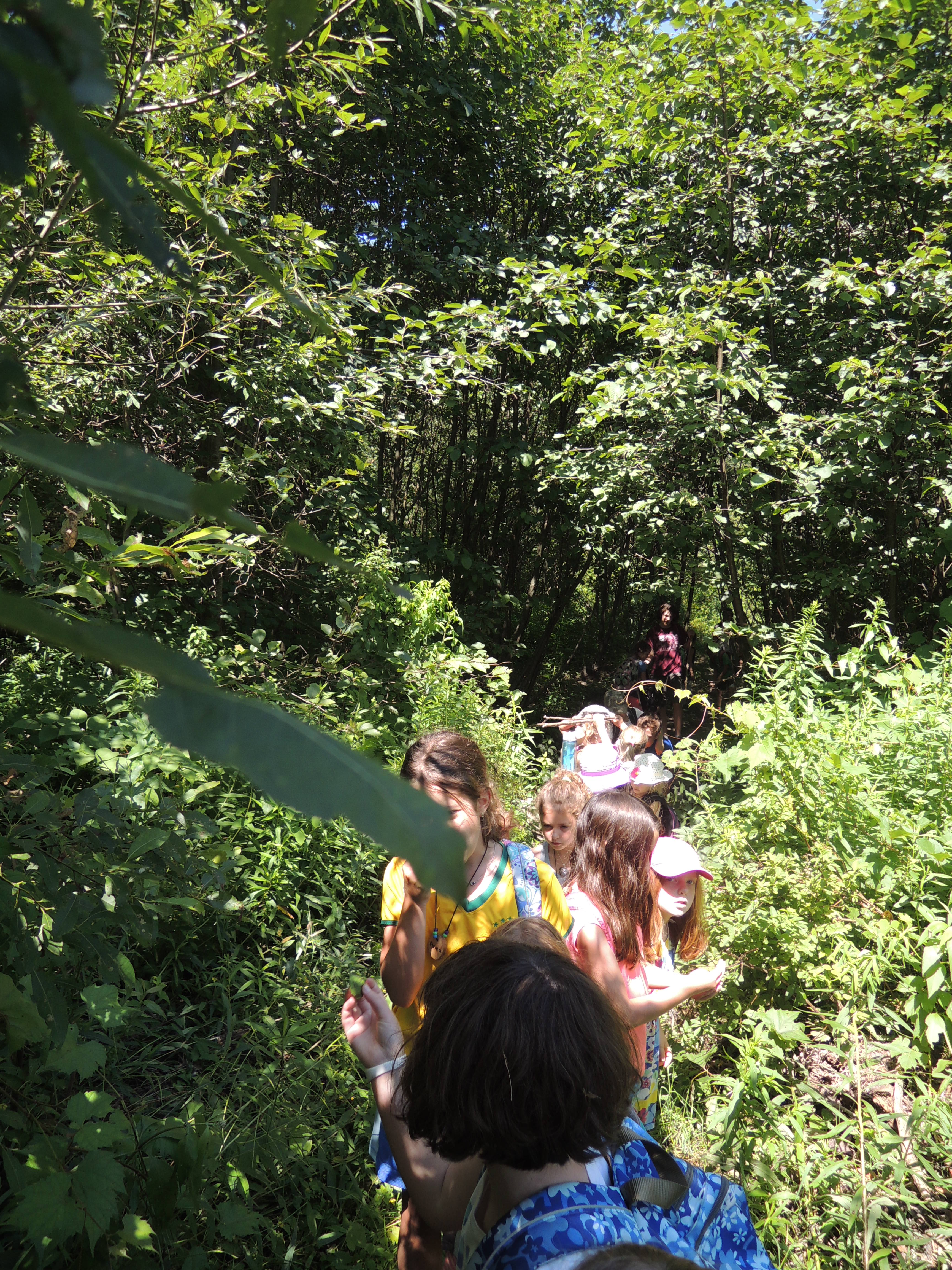 Nature walk at camp