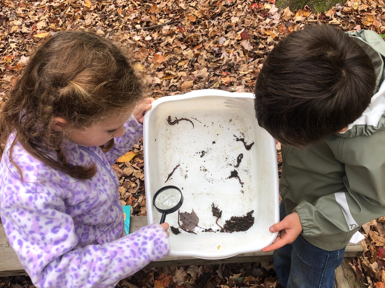 Two kids holding and looking into a bin with a salamander and a few worms