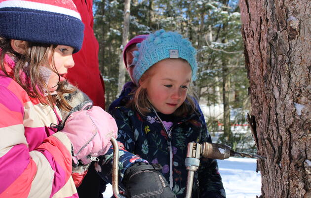 Birding For Kids at the Winooski Library