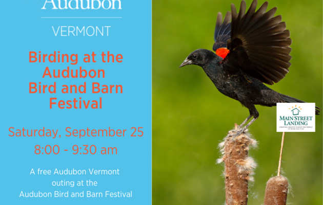 Birding at the Audubon Bird and Barn Festival