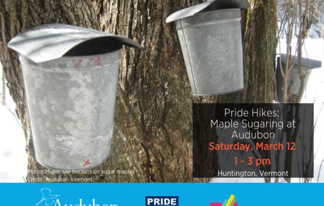 Pride Hikes: Maple Sugaring at Audubon (Cancelled)