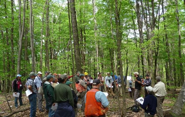 Vermont Woodlands 2021 Annual Meeting