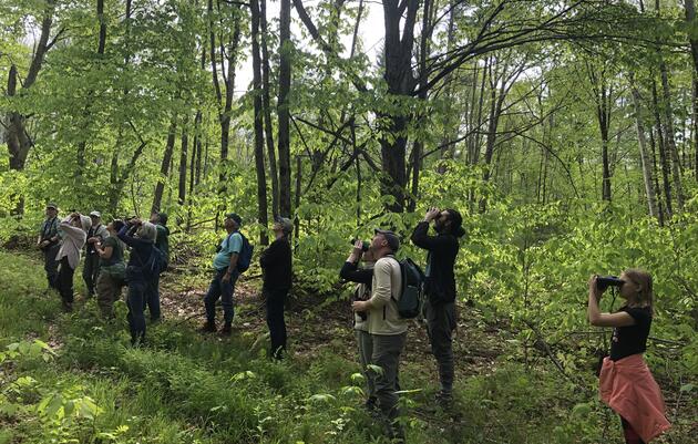 Unlock the Hidden Value of Your Forest: A Hands-On Workshop on Sustainable Management for Bird Habitats