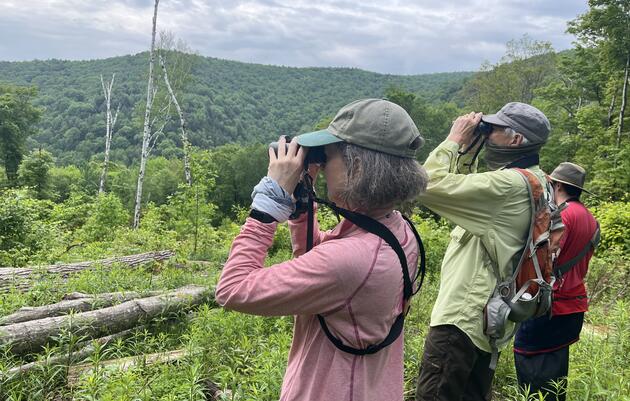 Guided Bird Walk at Merck Forest & Farmland Center