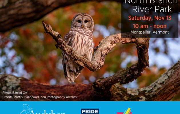 Pride Hikes: North Branch River Park