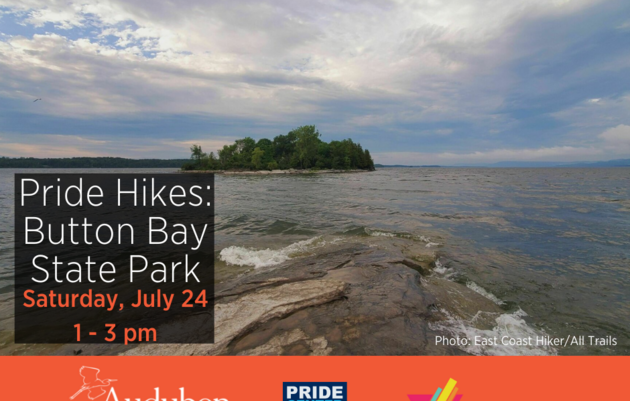 Pride Hikes: Button Bay State Park