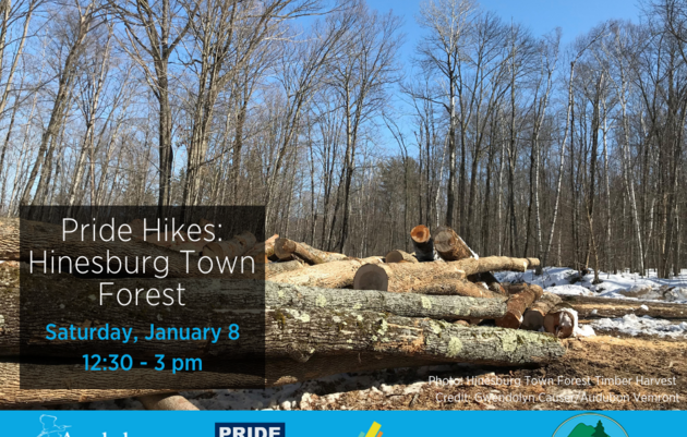 Pride Hikes: Forest Management at the Hinesburg Town Forest 