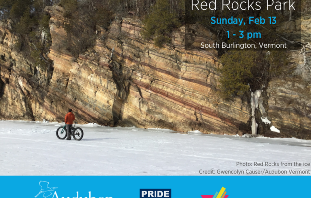 Pride Hikes: Red Rocks Park + Great Backyard Bird Count