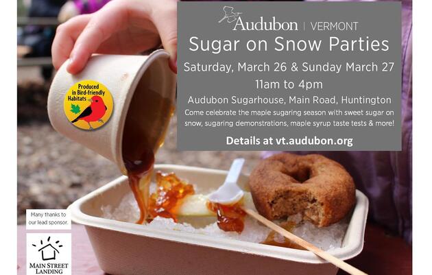 Sugar on Snow Parties at Audubon Vermont
