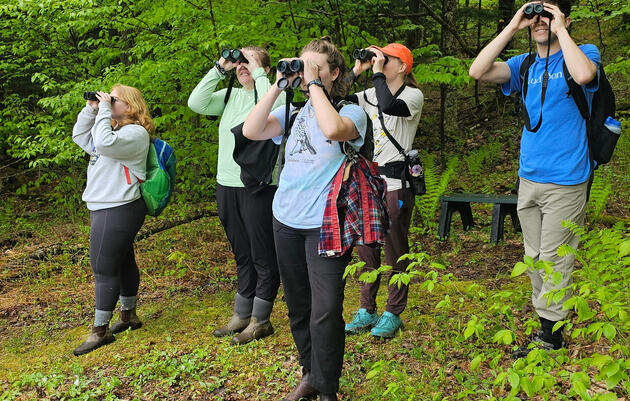Hike like a Birder