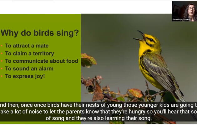 Presentation: Birding by Ear 