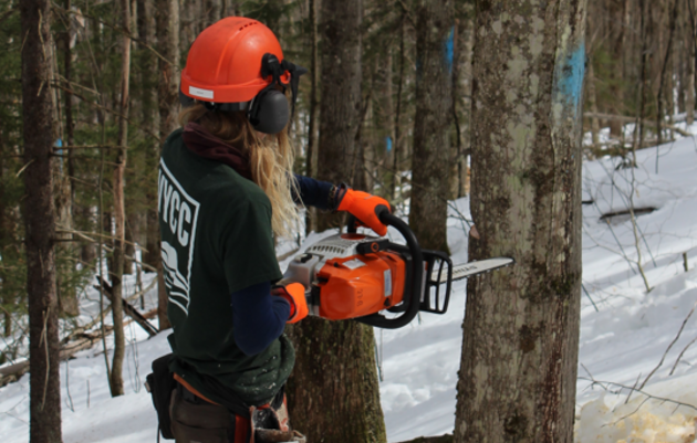 Collaborative Forestry for the Birds