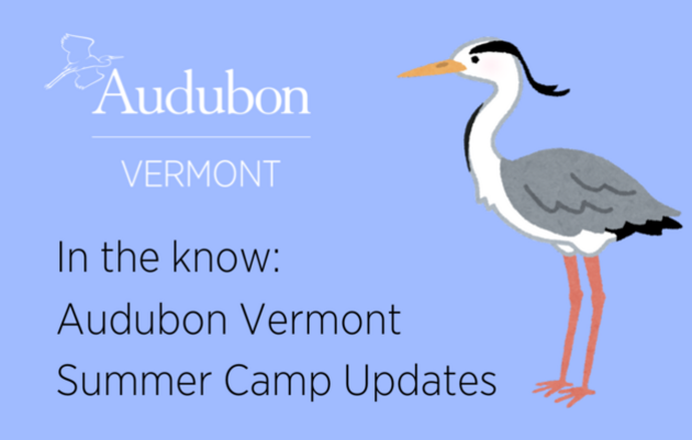 Camp Updates March 7, 2025