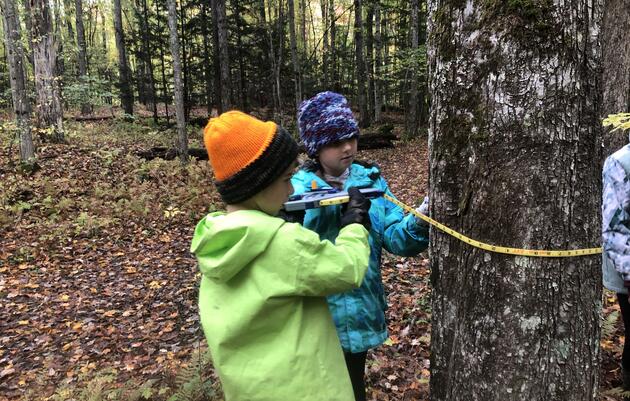 October: Is the Forest Bird Friendly?