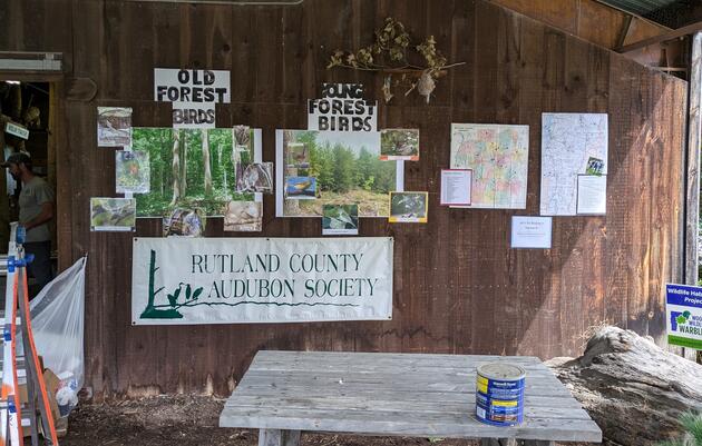 Rooted in Nature: How the Rutland County Audubon Society Inspires Conservation Across Generations