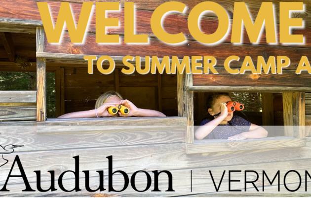 Your Guide to Summer Camp at Audubon