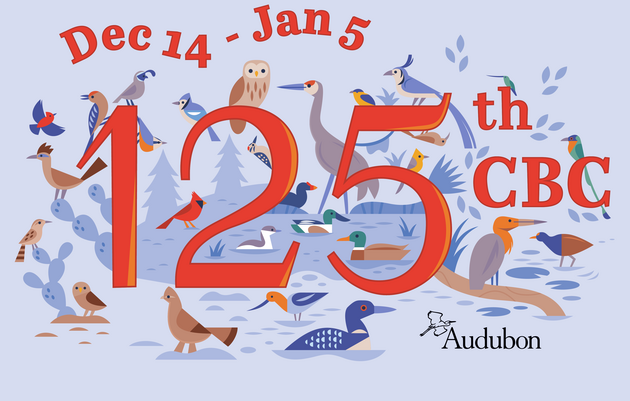 Audubon Christmas Bird Count - Vermont Circles