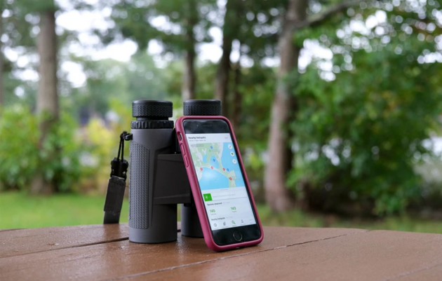 A Beginner’s Guide to Using eBird