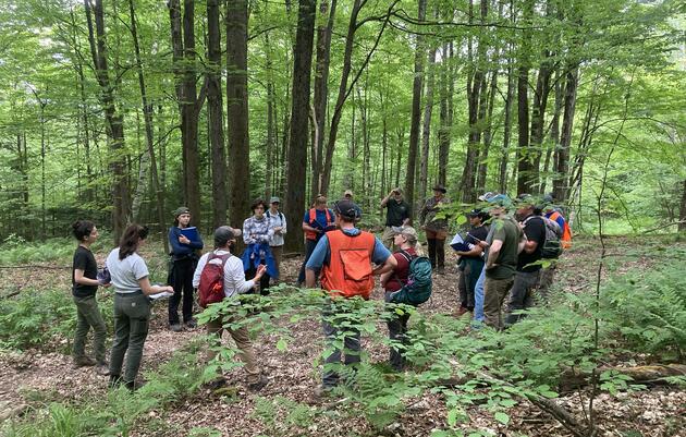 Audubon Forester Training and Endorsement Program