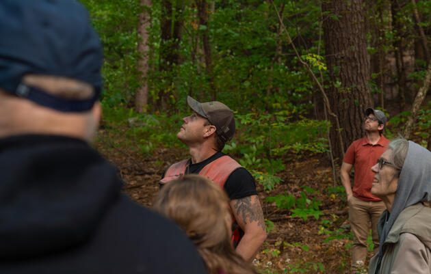 Audubon Endorsed Forester Ethan Tapper Teaches Us How to Love a Forest