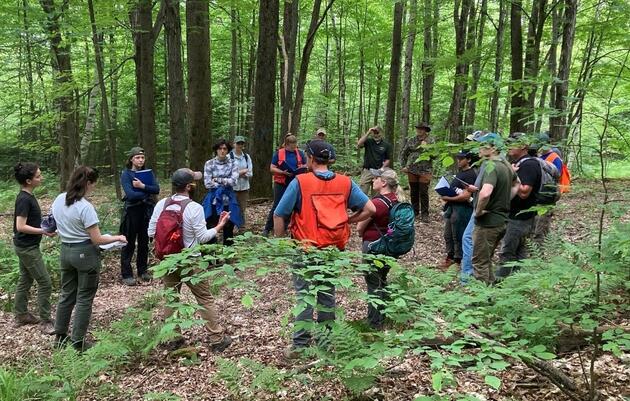 Growing a Network of Bird-Friendly Foresters: Audubon’s Forester Training and Endorsement Program