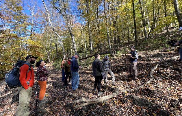 Restoring Old-Growth (like) Conditions at Merck Forest & Farmland Center
