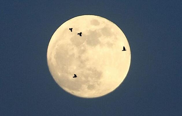 Winter Full Moon Hike