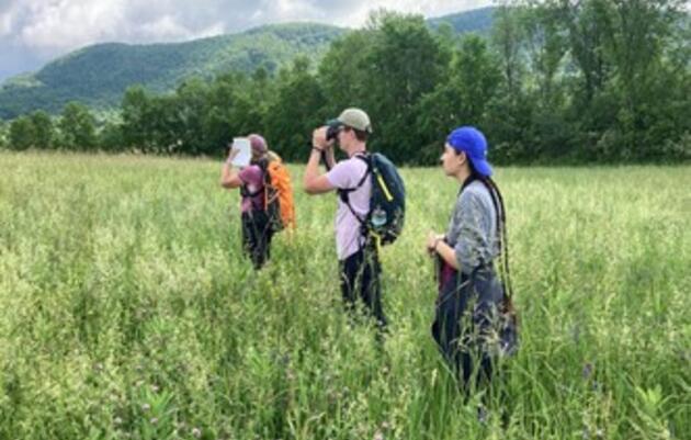 On The Frontlines of The Bobolink Project